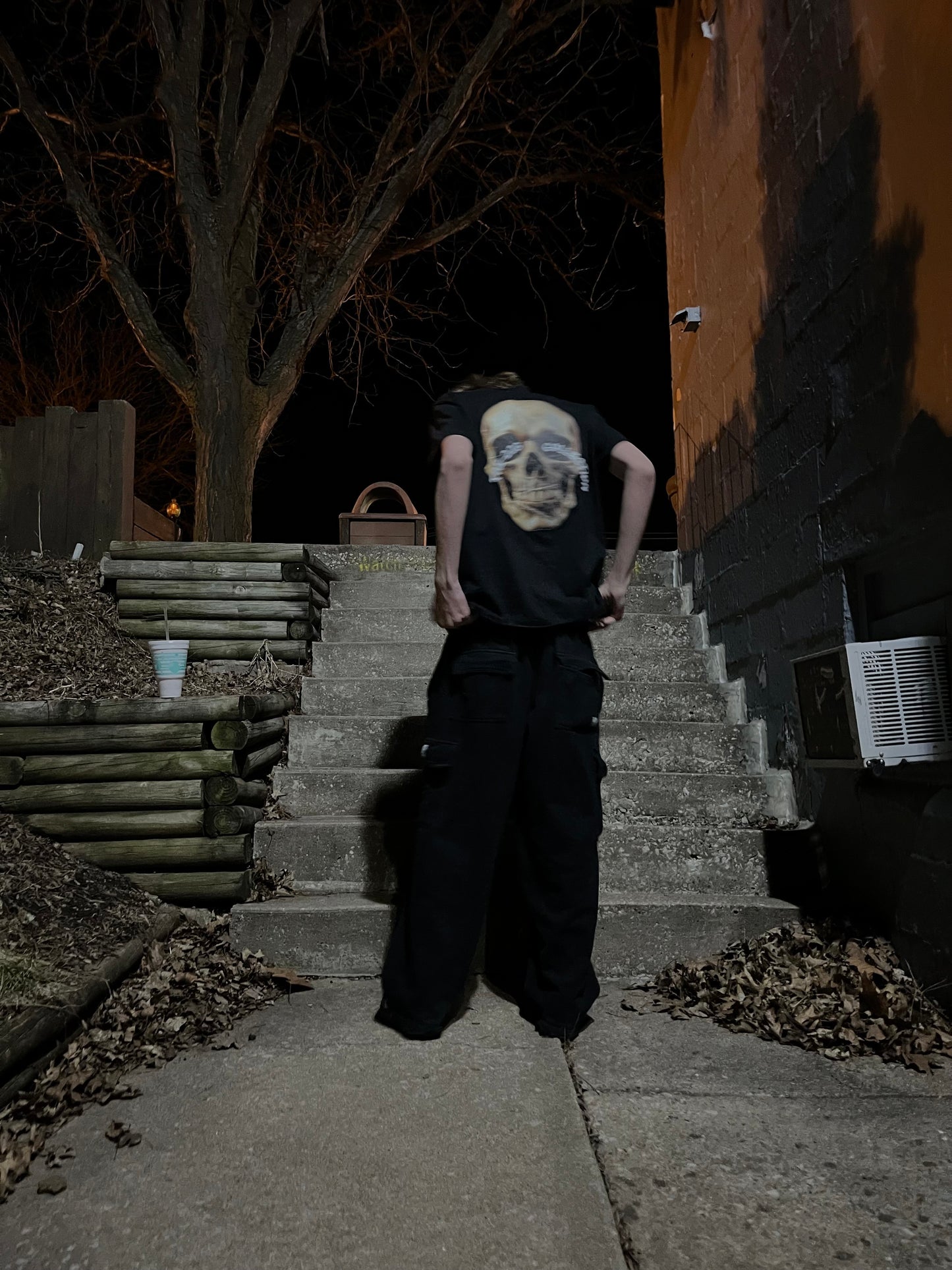 223 Collection-skull