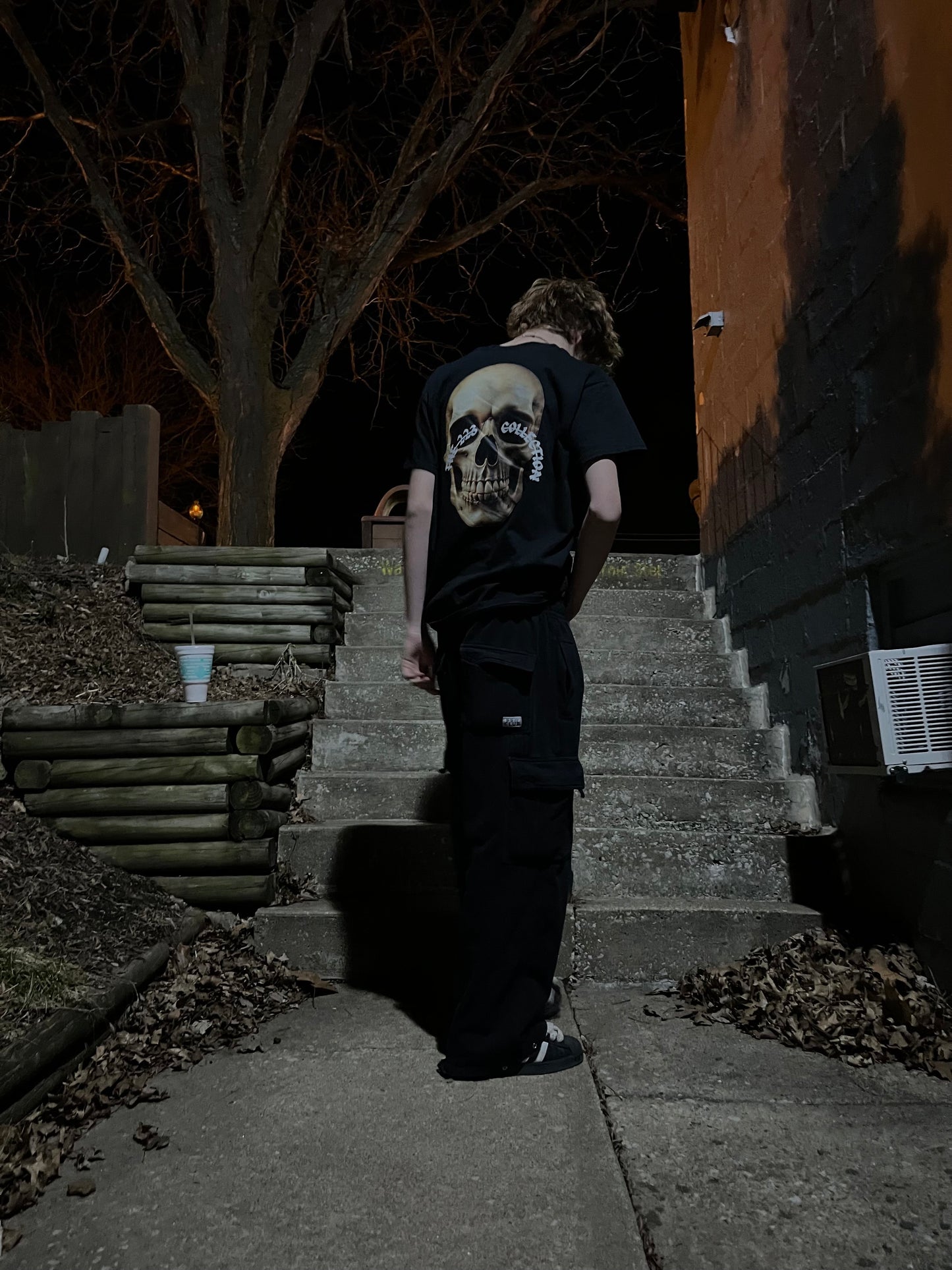 223 Collection-skull