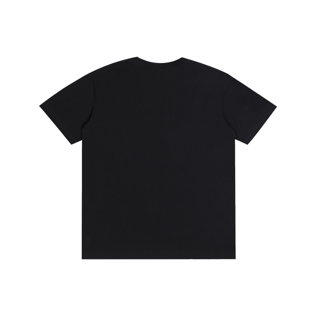 6/16 ZAGA FEST (2) T-Shirt